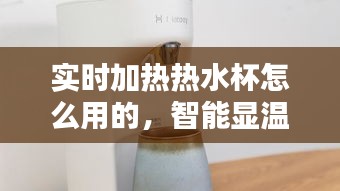 實(shí)時(shí)加熱熱水杯怎么用的，智能顯溫水杯 