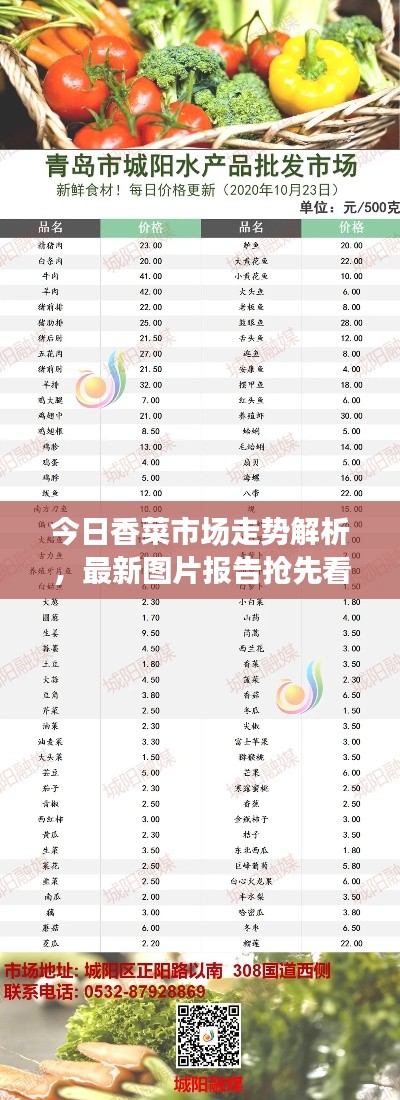 今日香菜市場(chǎng)走勢(shì)解析，最新圖片報(bào)告搶先看